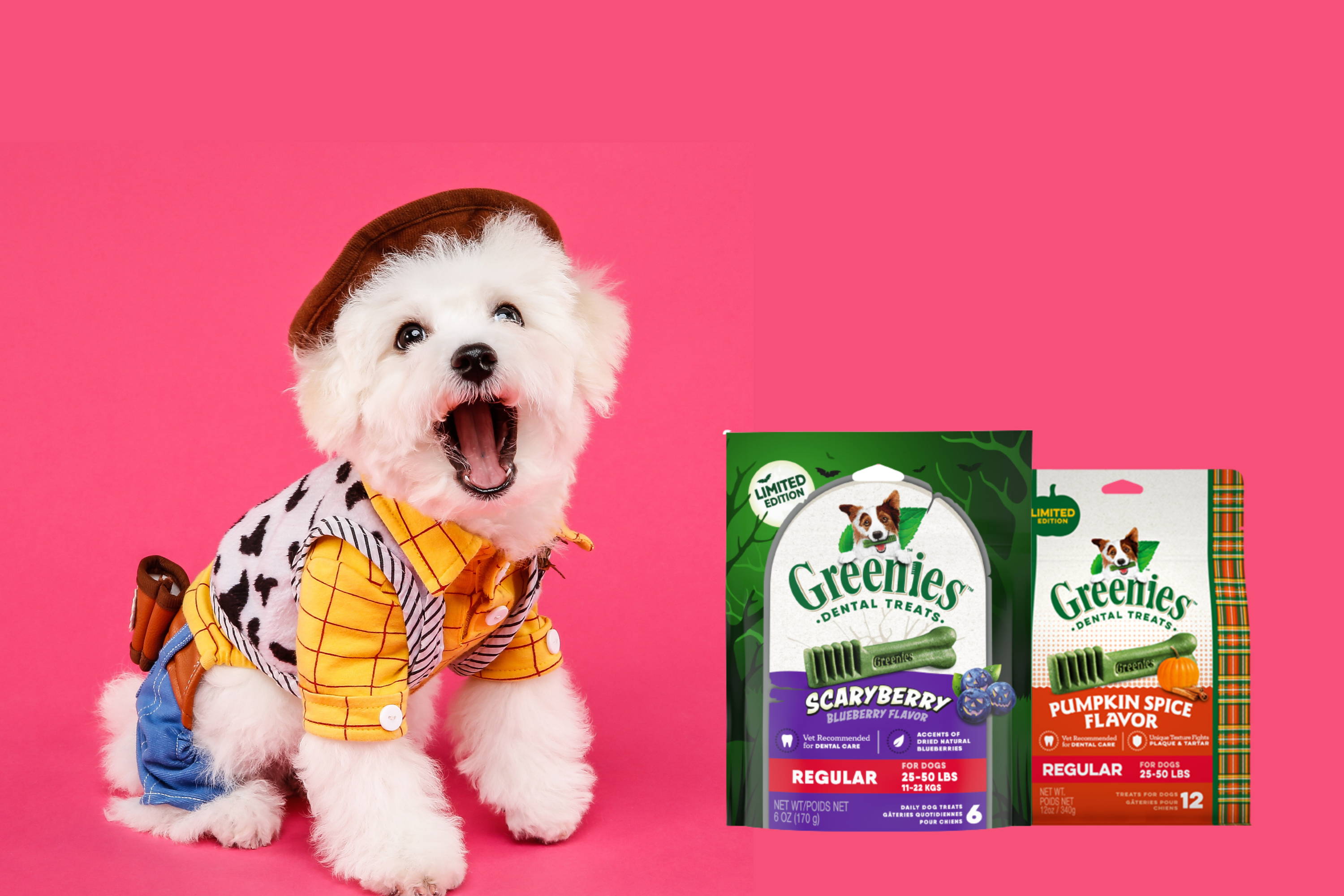 Halloween Dog Treats: Treat Your Pup to an Exclusive Greenies™ Deal 