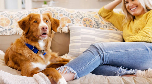 Woman relaxing on sofa with pet dog.