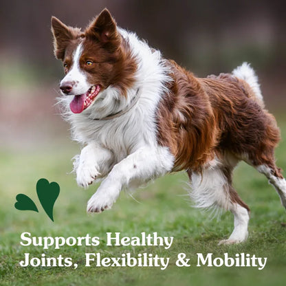 [Greenies][Greenies Hip and Joint Supplements for Dogs, 30-Count Soft Chews][Enhanced Image Position 19]