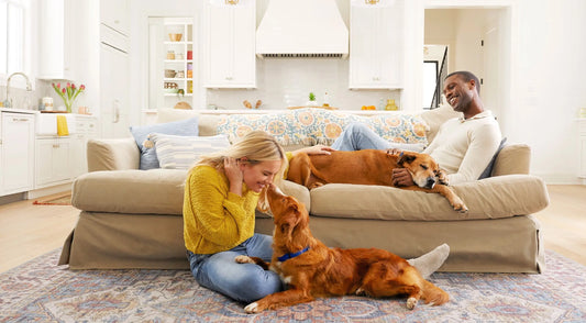 A man and woman sitting on a couch with a dog