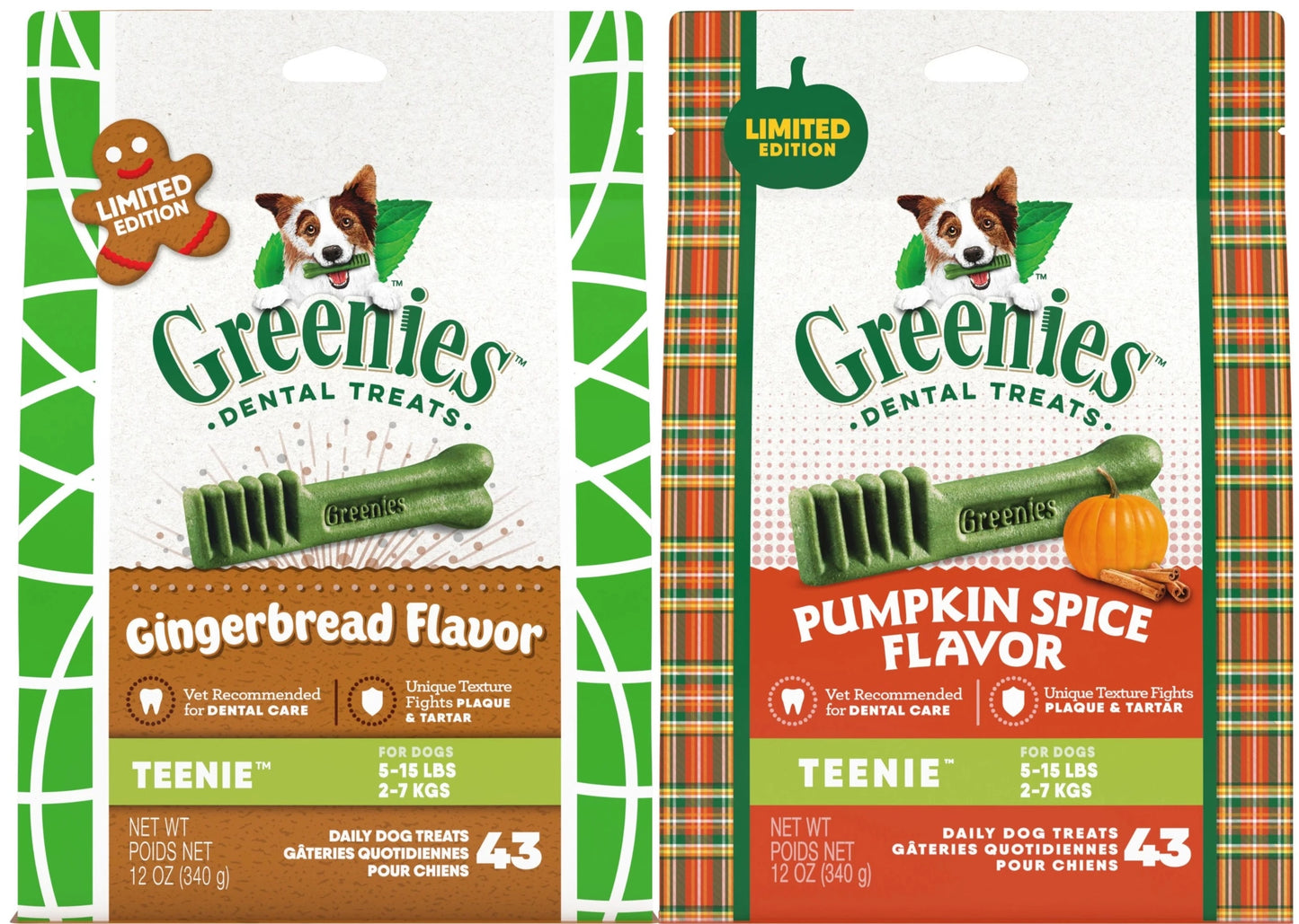 Pumpkin greenies hotsell