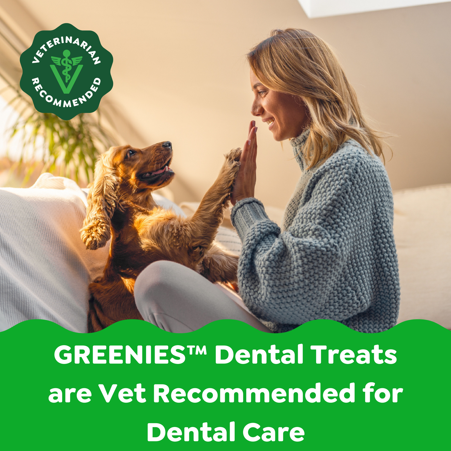 Greenies dental treats are vet recommended for dental care