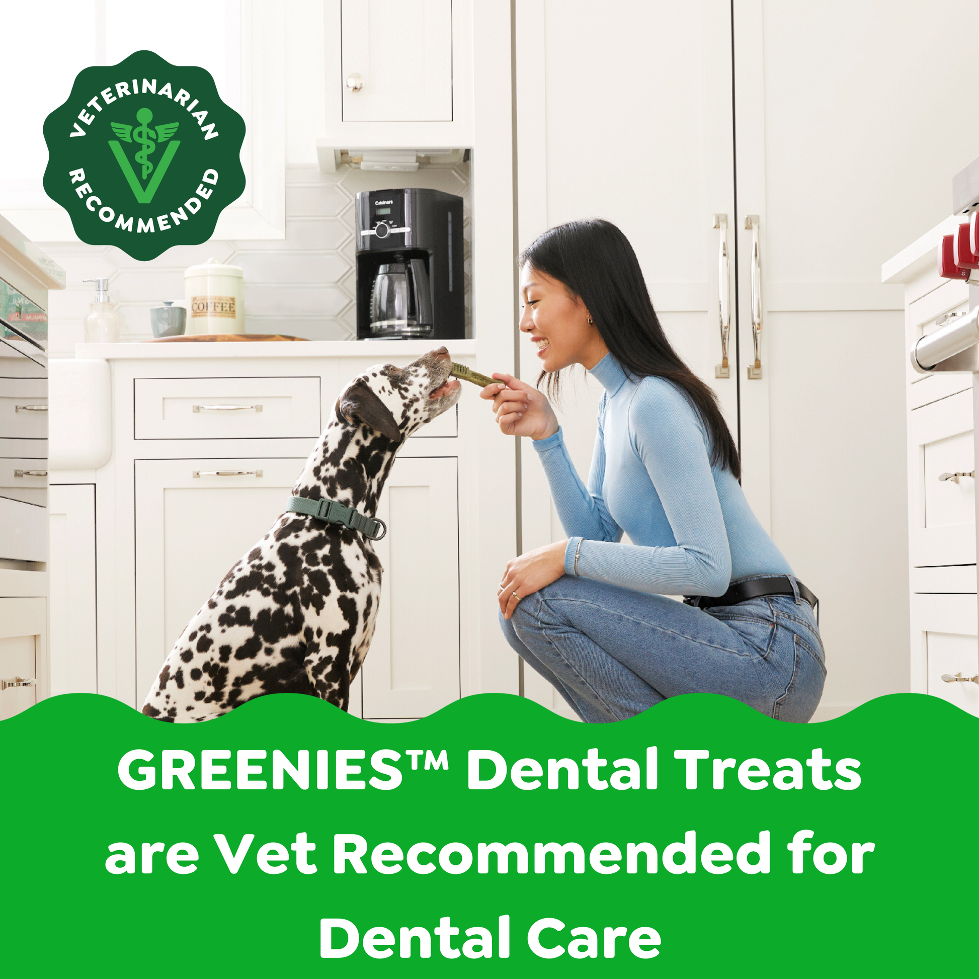 Greenies Dental Treats are vet recommended for dental care