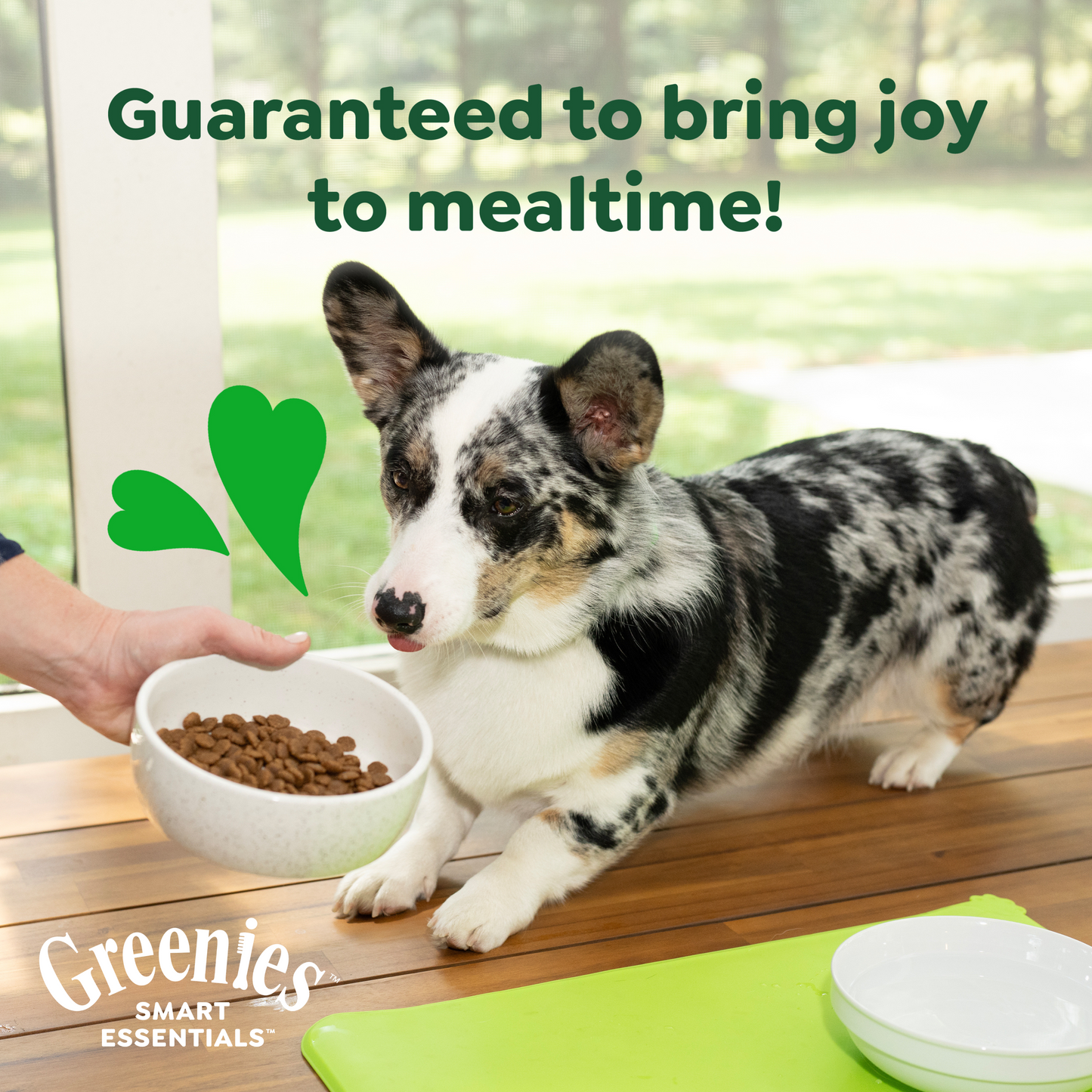 Greenies smart essentials for small breed dogs is guaranteed to bring joy to mealtime