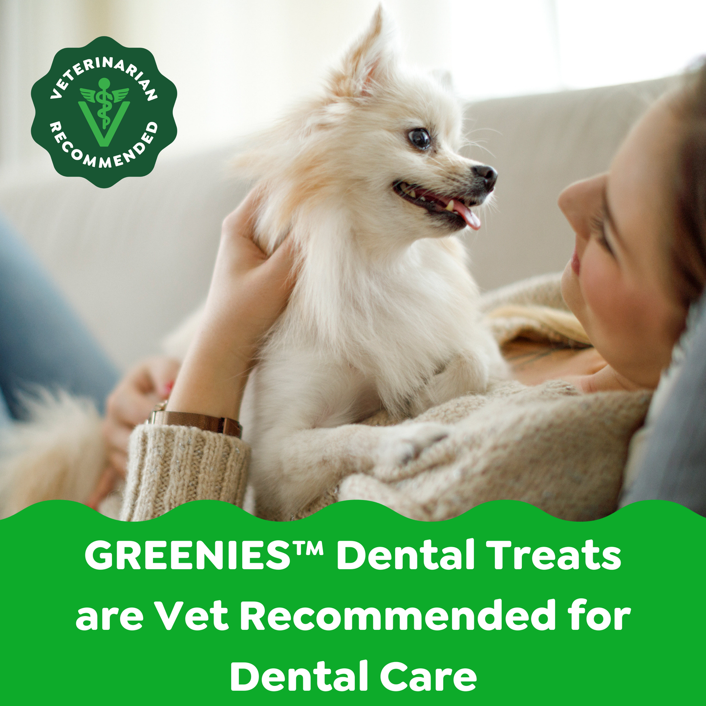 GREENIES Dental treats are guaranteed to bring joy to mealtime for teenie dogs 
