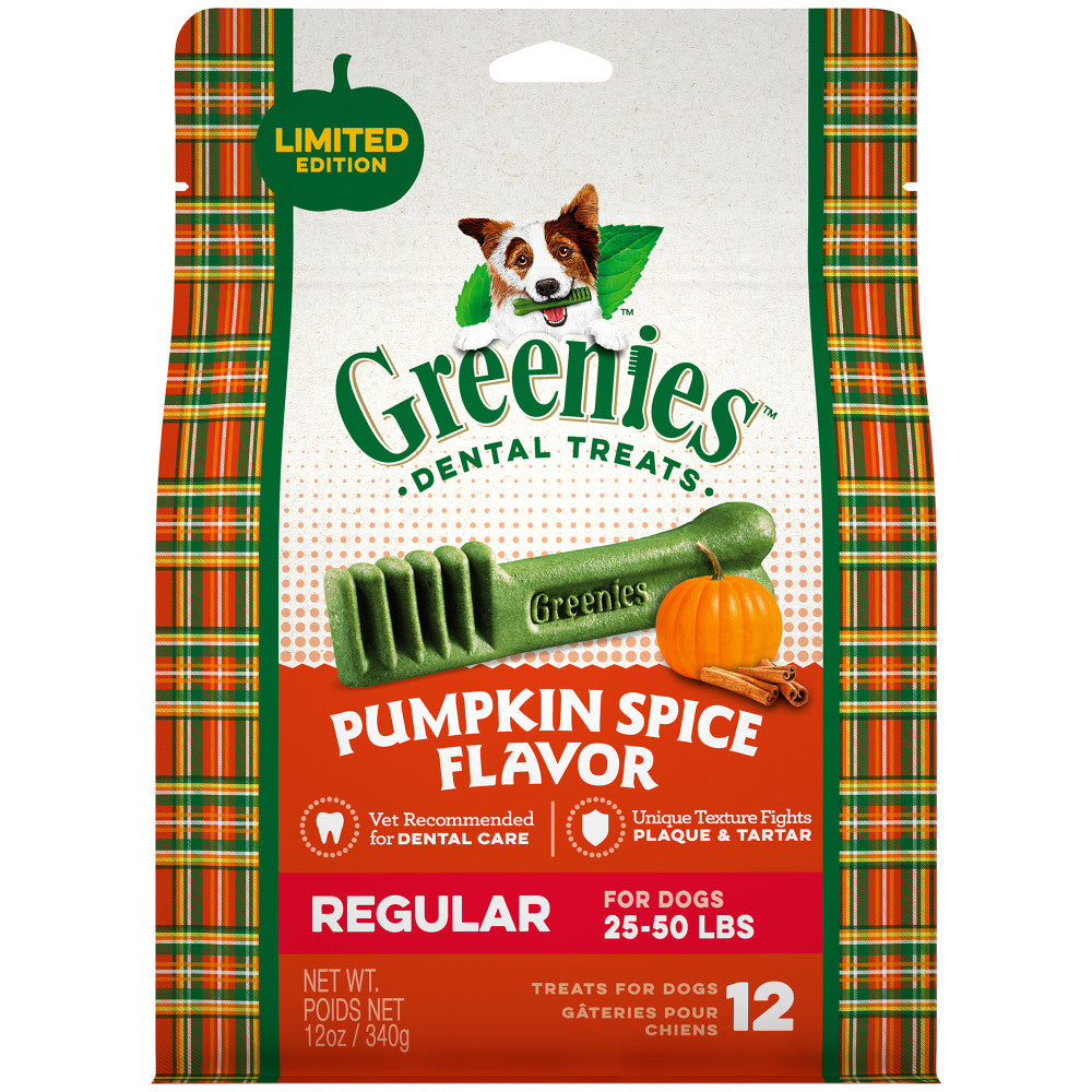 Pumpkin Spice Regular Dental Dog Treats